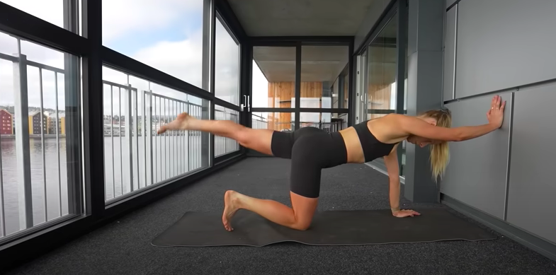 Pilates Wall Workout A Comprehensive Guide