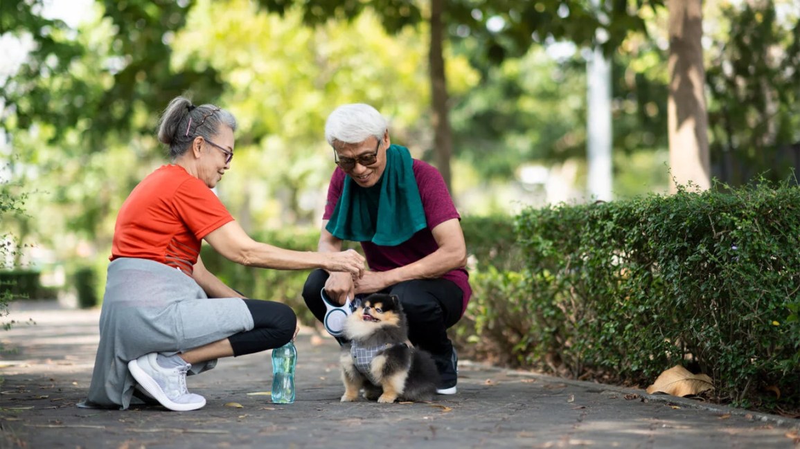 Unlocking the Power of Exercise How It Protects Against Cancer